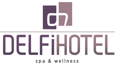 DelfiHotelLogo